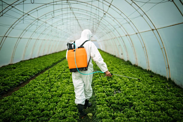 Best Mosquito Control Services  in Plainfield, IL