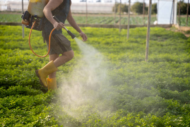 Reliable Plainfield, IL Pest Control Solutions