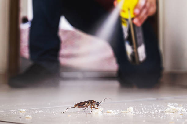 Best Exterminator Services  in Plainfield, IL